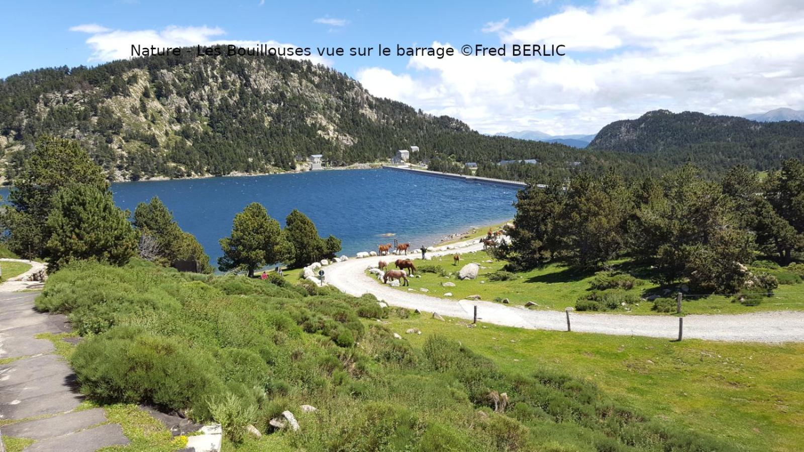 Palau-de-Cerdagne Camping Las Asperas*** מראה חיצוני תמונה