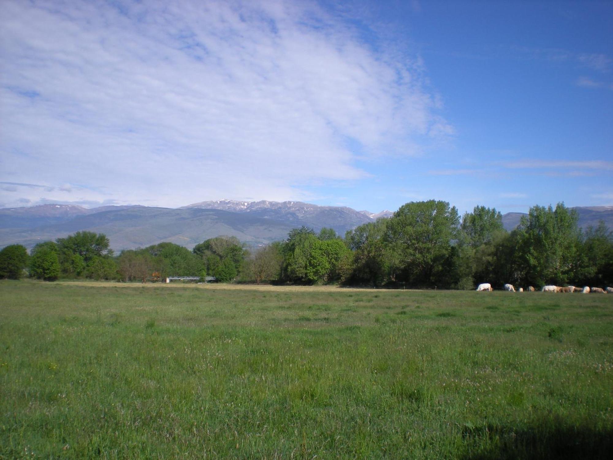 Palau-de-Cerdagne Camping Las Asperas*** מראה חיצוני תמונה