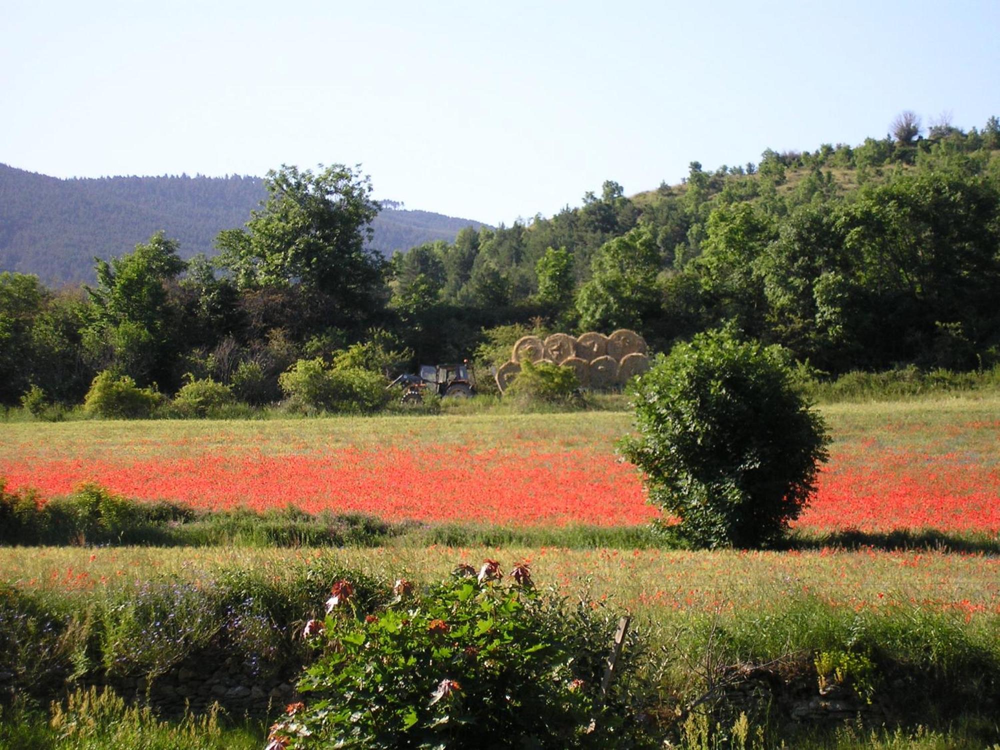 Palau-de-Cerdagne Camping Las Asperas*** מראה חיצוני תמונה